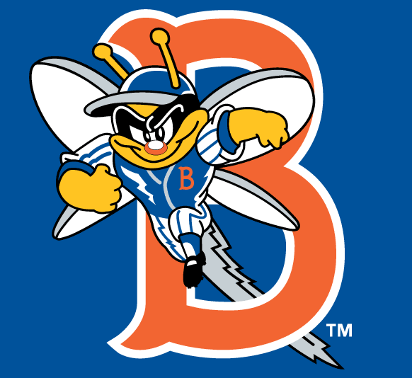 Binghamton Mets pres cap logo iron on transfers for T-shirts